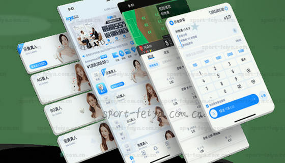 你们支持哪些赛事项目